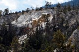Yellowstone NP Geyser Crystal Buildup.jpg