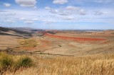 Red Canyon WY Game Reserve.jpg