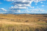 Little Bighorn Surrounded by Battlefield.jpg