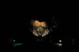 Night Mt Rushmore.jpg