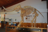 Mammoth Dig Skeleton.jpg