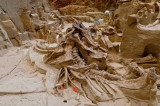 Mammoth Dig.jpg