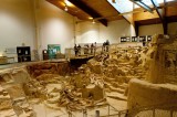 Mammoth Dig .jpg