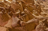 Mammoth Dig Teeth & Bones.jpg