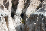 Badlands SD Overlook Caves.jpg