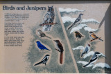 Badlands SD Birds & Juniper Sign.jpg