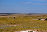 Badlands SD Buffalo on the Range.jpg