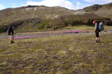 tjaldstaur vi Skessugljfur - Camping place at Skessugljfur