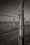 Auschwitz-Birkenau 8