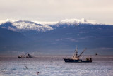 Fishing Boats and Mountains