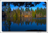 Lake Reflections.