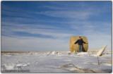 Hiding from something - Oakley, KS