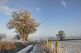 snowy lane