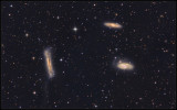 LEO TRIPLET