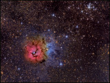 The TRIFID nebula.