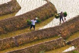 The Rice Farmers, Longsheng