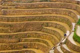 Rice Terraces, Longsheng