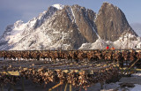 Outside Hamny, Lofoten