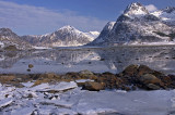 Flakstadpollen, Lofoten