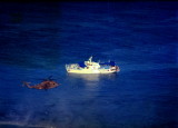 Sudan Shipwreck Hi_resize.jpg