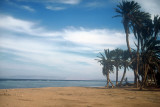 Sinai Coastline 