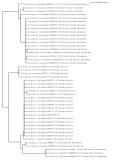 Tree using public and local data