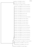 Tree using local and public data