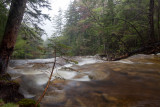 Cascade Brook 1