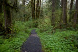 Oregon path