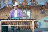 Marimba Musician
