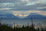 Sunlight on the glacier