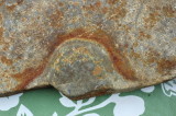 fossil 2a.jpg