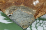 fossil3.jpg