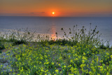 Palos Verdes Sunset