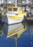 Docked at the Bay