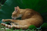DSC_7365.jpg