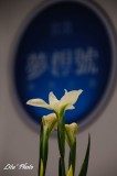 DSC_5037.jpg