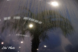 DSC_5071.jpg