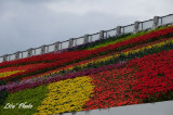 DSC_5107.jpg