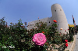 DSC_4685.jpg