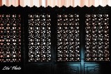DSC_3569.jpg