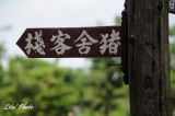 DSC_7176.jpg