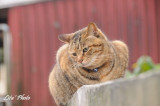 DSC_0497.jpg