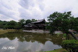 DSC_2646.jpg