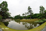 DSC_2659.jpg