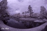 DSC_4881.jpg