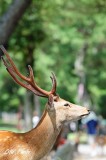 DSC_2715.jpg