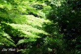 DSC_2916.jpg