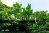 DSC_3085.jpg