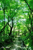 DSC_3098.jpg